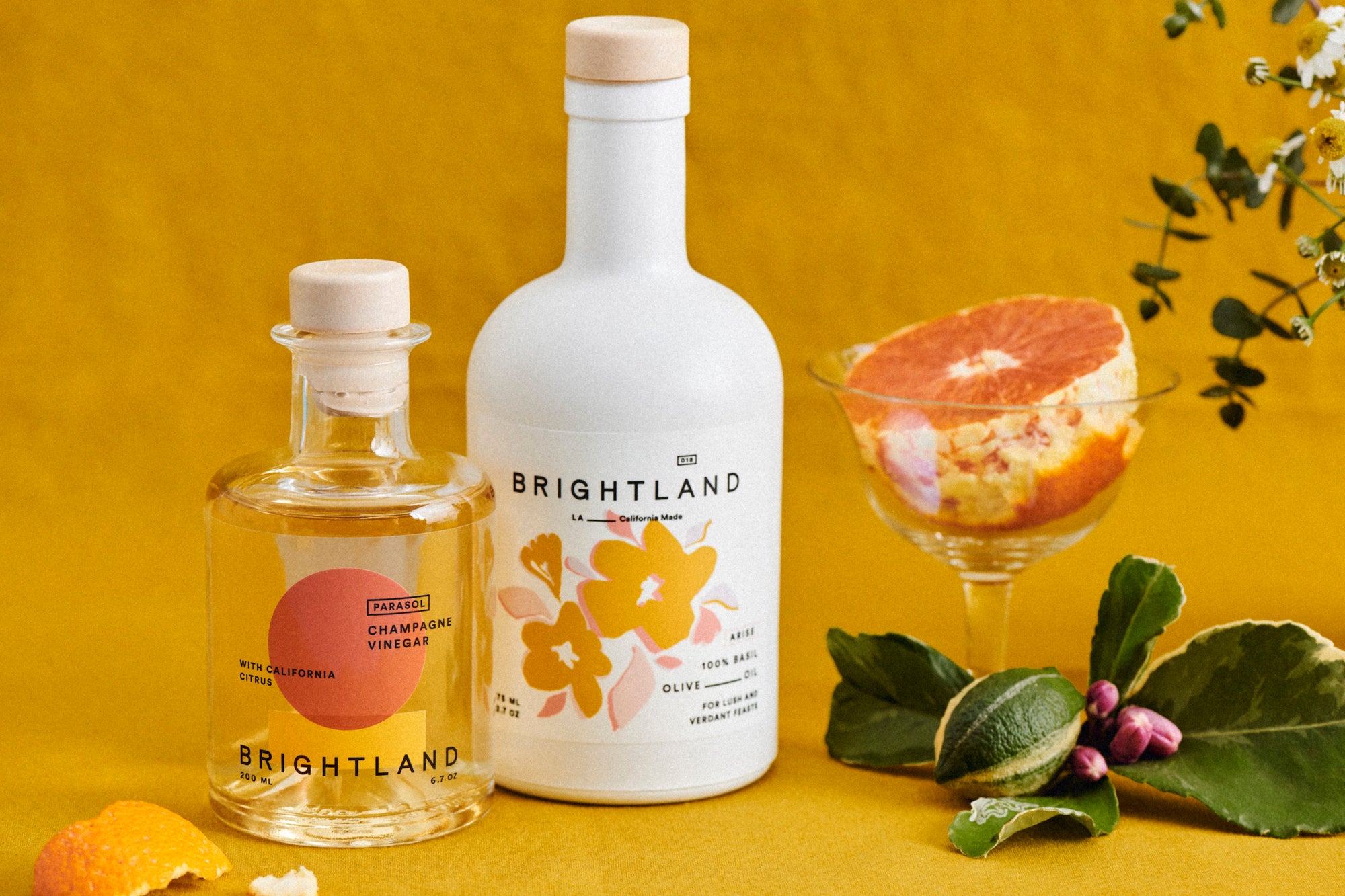 olive oil and champagne vinegar