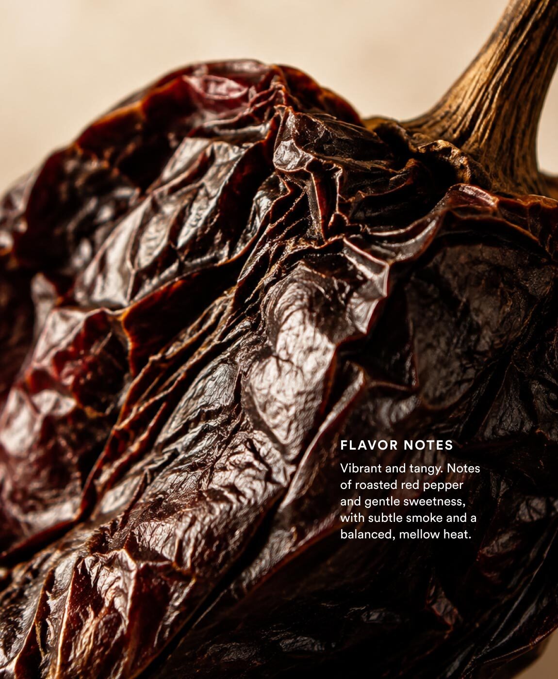 Ember Ancho Chili Vinegar